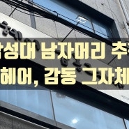 [낙성대] 낙성대 남자머리, 미용실 추천 "헤어,감동 그자체"