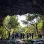 제주도 영주산 일출+오늘은녹차 족욕,비밀의동굴 산책+마무리는 제주바다 드라이브