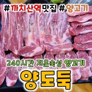 [까치산역] 화곡동 240시간 숙성 양고기 <양도둑> 너무 맛있어!! 내돈내산
