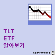 TLT TMF 수익률 비교하기! 어디에 투자할까? 채권 ETF