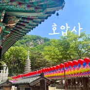 석가탄신일 관악산 호압사, 부처님 오신 날 24.5.15