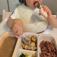 유아식 준비물 추천 모윰 이유식준비물 아기식판 스푼세트