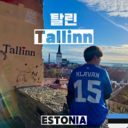 에스토니아 여행 #2-2 (탈린) 톰페아 언덕, 알렉산더 넵스키 성당, 톰페아 성, 코투오차 전망대, 파르쿨리 전망대