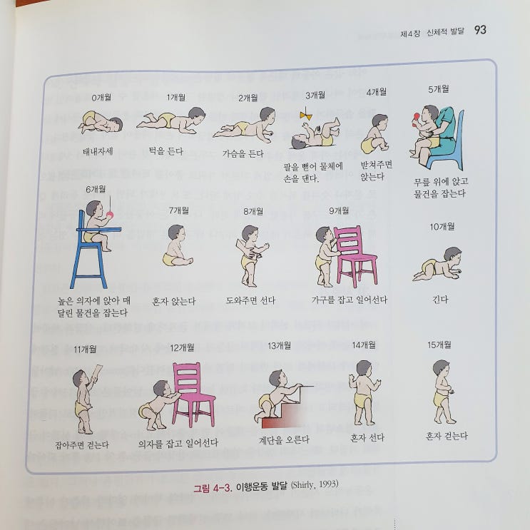 심리학 전공서에 나오는 아기성장발달 순서 : 네이버 블로그