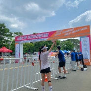 마라톤대회 서울 신문 하프마라톤 코스 및 참가 후기
