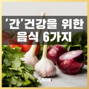 '간' 건강을 위한 음식 6가지