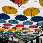 파주 탄현 임진강 뷰~ 루프탑 카페 [ 카페 서 ] 우산 지붕이 인상적인 조용하고 편했던 디저트 카페~