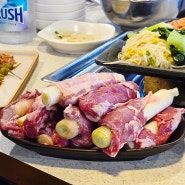 강남역 삼겹살 가성비 좋은 제주흑다돈 통대파 갈매기로 점심 모임!