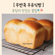 우유식빵 만들기 무반죽빵 레시피 강력분 홈베이킹