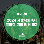 2024 세종낙화축제 달라진 점과 관람 후기(손희연 기자님)