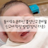 동사무소 온라인 출생신고 준비물 신고서 작성 방법(양식 다운)