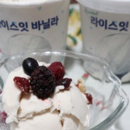 라이스잇바닐라 아이스크림 맛있는 비건아이스크림 아이간식 후기