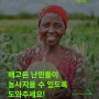 [해피빈] 배고픈 난민들이 농사지을 수 있도록 도와주세요!