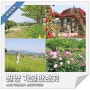 밀양 5월 6월 가볼만한곳 경남 여름 여행 장미공원 및 BEST 4