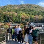 [Japan] 19년도와는 너무 많이 달라진 유후인 거리 구경, 긴린코 호수