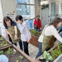 2024 도시농업활동가 파견 사업 창원치매안심센터 텃밭 작물 재배 및 원예활동 프로그램 참여