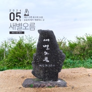 [제주도] 제주도 서쪽 최고의 오름, 제주들불축제가 개최되는 곳, 새별오름