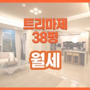 서울숲 아파트 월세(트리마제 38평)
