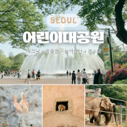 어린이대공원 5월 피크닉 장소 추천 | 동물원 식물원 편의점 음악분수 주차