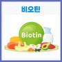 비오틴 영양제 추천 비오틴 효과 부작용