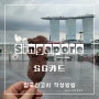 싱가폴 여행 싱가포르 SG 카드 입국 신고서 작성 방법