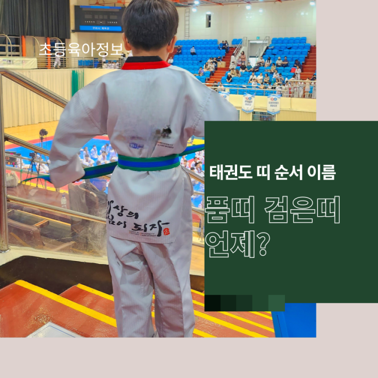 태권도 띠 순서 이름 품띠 검은띠는 언제 : 네이버 블로그