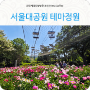 과천가볼만한곳 과천 서울대공원 테마가든 작약꽃밭