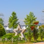 구리한강시민공원, 유채꽃 수련 계절(경기도 구리시)