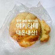 양산 물금 일본수제 베이커리 / 야끼소바,메론빵,카레빵 N차 방문 내돈내산 후기