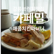 신메뉴 매콤 치킨 파니니 먹고 온 강릉브런치맛집 카페밀