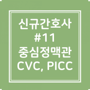 #11. ICU 신규간호사 (중심정맥관 C-line, 말초중심정맥관 PICC)