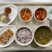 잡곡밥, 보리새우열무국, 냉수육"마늘소스, 베이컨감자채전, 무생채, 김치