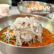 속초 4시간만 운영하는 산오징어물회 현지인 맛집 완도회식당