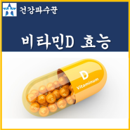 비타민D 효능 결핍 증상 하루권장량 비교