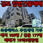 김포신도시 마산동 합법상가주택 매매, 대지 100평, 건물 177평 대형 상가주택, 골드라인 마산역 생활권, 넓은 복층 테라스 주인세대 거주