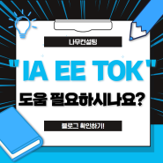 [대입] International Baccalaureate: IA, EE, TOK 도움 필요하시나요?