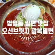 범일동 밀면 맛집 오션브릿지 광복밀면