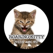 밈주식 뜻 게임스탑 AMC 레딧 전설의 주가 폭등