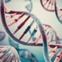 네이처, 노화와 질병 위험에 영향을 미치는 유전자 발견