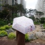 초등학생 가벼운우산 아티쉬 양우산으로 준비