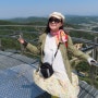 ◆서울 강릉 모산 원주 소금산 출렁다리 야유회 2024년 5월14일(화)