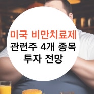 미국 비만치료제 관련주 지금 투자하면 늦지 않을까요