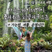 n차 싱가포르 여행 가든스바이더베이 | 실내 돔 관람 포인트, 가는 법, 셔틀, 운영 시간