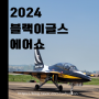 2024 블랙이글스 에어쇼 (수원)