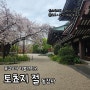 후쿠오카 하카타 가볼만한 곳 <토쵸지절(동장사)> 도심 속 멋진 분위기의 절. 일본 후쿠오카 여행 #3