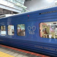 특급소닉 JR큐슈 기차표 예약방법 및 티켓 수령방법, 후쿠오카 공항에서 벳푸역까지 JR열차 타고 이동 후기