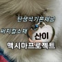 강아지 인식표 평생 A/S 가능한 맥시마프로젝트 써지컬체인 목걸이