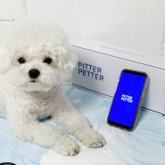 피터페터 강아지 유전자 검사 면봉 하나로 집에서 쉽게! 강아지 DNA 검사 하고 질병 미리 예방하기