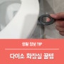 다이소 화장실 꿀템 변기 뚫어뻥 다이소 변기 손잡이 추천!