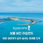 포카리스웨트 촬영지, 보홀 버진 아일랜드: 맹그로브 나무, 해양 생태계가 살아 숨 쉬는 모래톱 천국